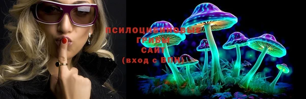 мдпв Бугульма