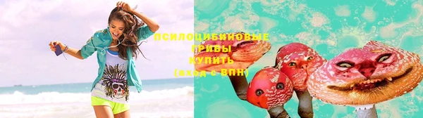 мдпв Бугульма